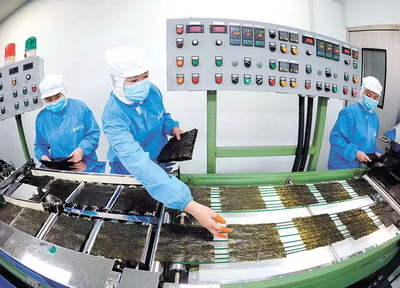 1至4月同比增九成！數(shù)字化轉(zhuǎn)型賦能連云港外貿(mào)進(jìn)出口“新”意滿滿